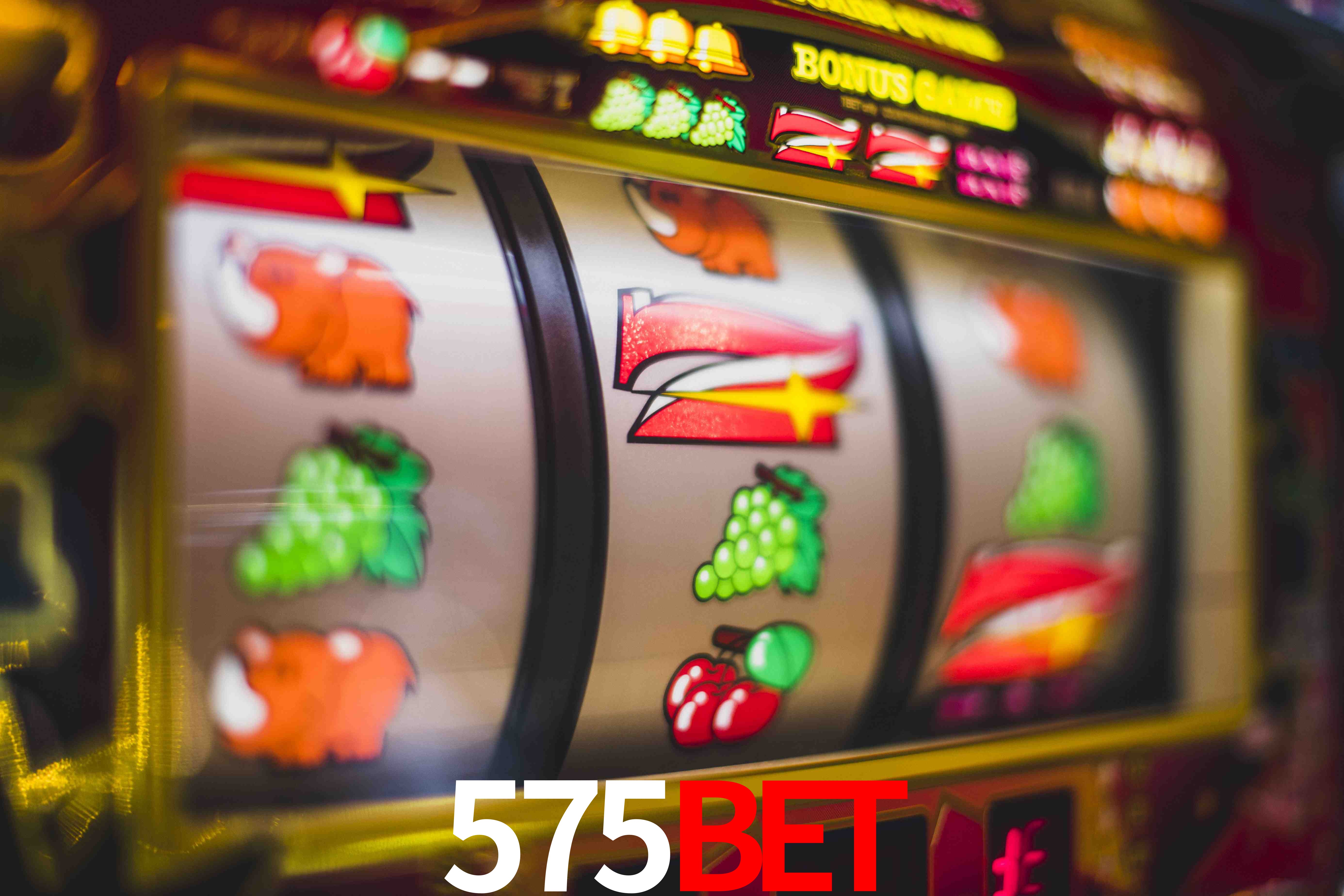 Sports Statistics 575bet